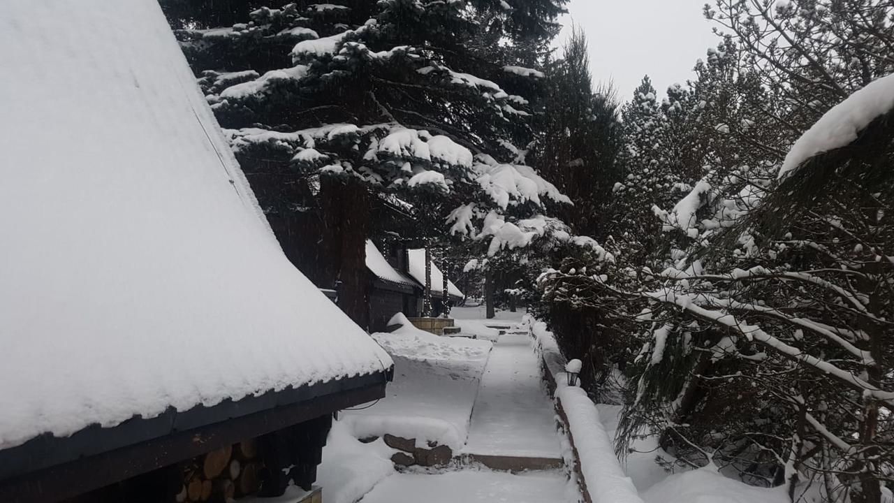 Лоджи Oliwne Wzgórza Bolesławów-24
